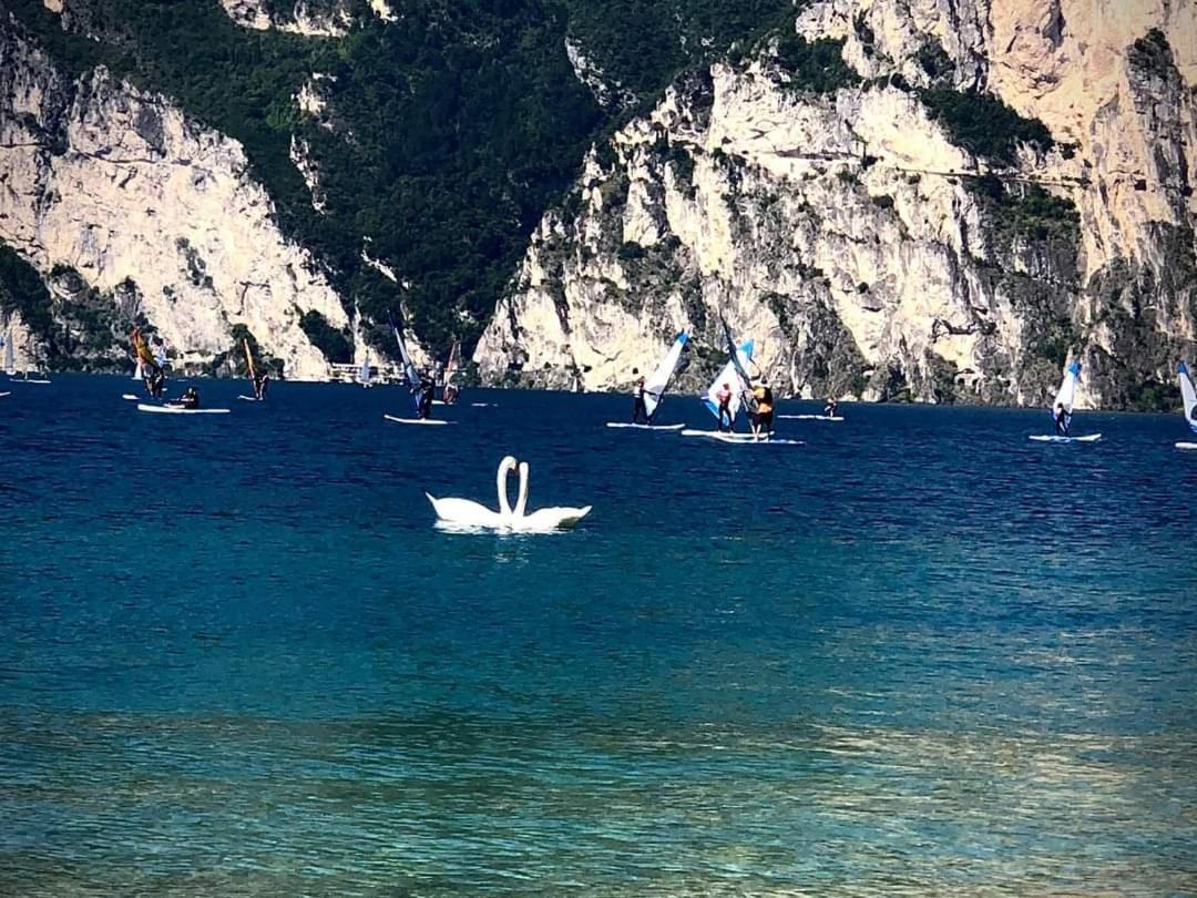 Infinite Blue Apartment Riva del Garda Exterior foto